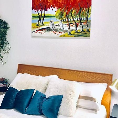 Home In The Heart Of Mannheim, Free Parking, Netflix, Fast Wifi Luaran gambar